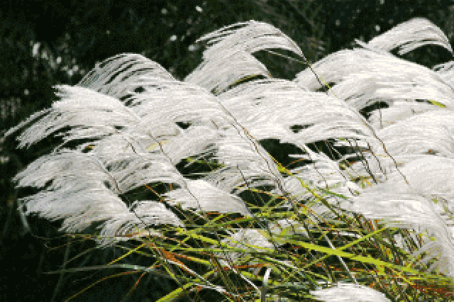 320_213gif 动态图 动图