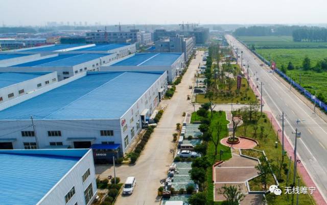 乐辉食品：行业动态中的闪耀之星