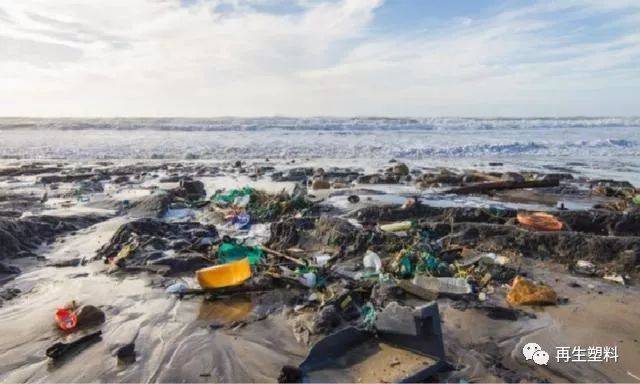 海洋之殇 如何拯救正被塑料破坏的海洋生态系统?