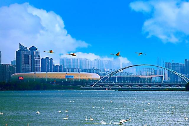 三门峡新区,_文秘苑图库