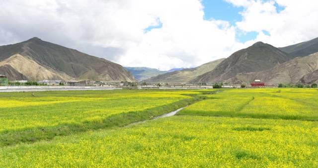 青藏地区的河谷农业