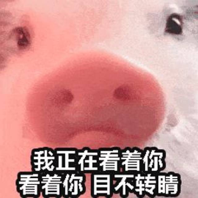 如何做2019年最有福气的女孩？穿Gucci猪猪卫衣，挎着Chloé猪猪包，戴上 