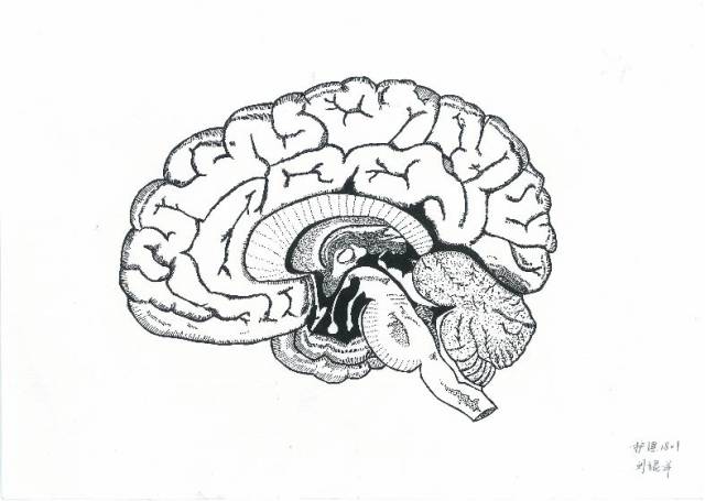 "大画医学"人气作品网络评选!