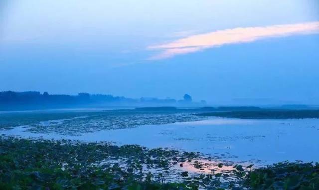 白雲湖國家溼地公園!章丘新添