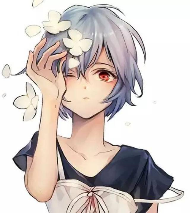 宅男痴恋eva女神绫波丽的五大理由!_手机搜狐网