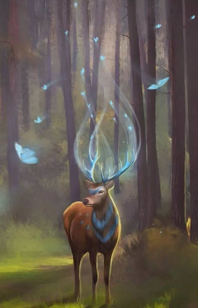 【梵音洞】《oneness blessing合一祈祷》,聆听神性的召唤