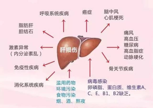 肝功能损害 搜狐网