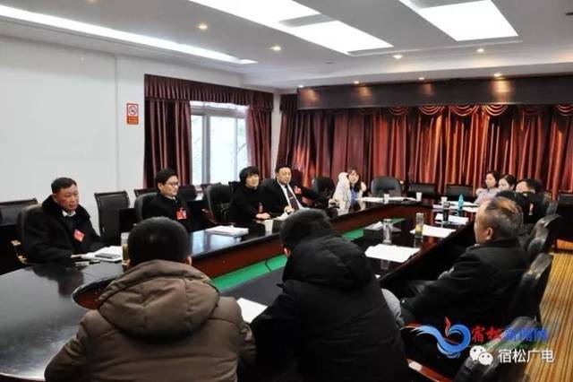 叶凤鸣出席千岭代表团分组讨论会