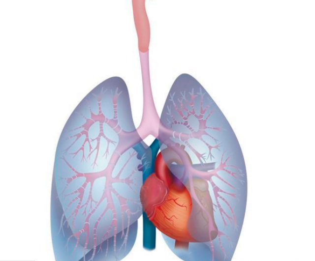 肺病怎么治祖传图片