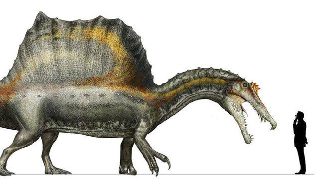 侏罗纪最大的恐龙,咬合力直逼霸王龙,两者对打霸王龙不一定能赢_手机