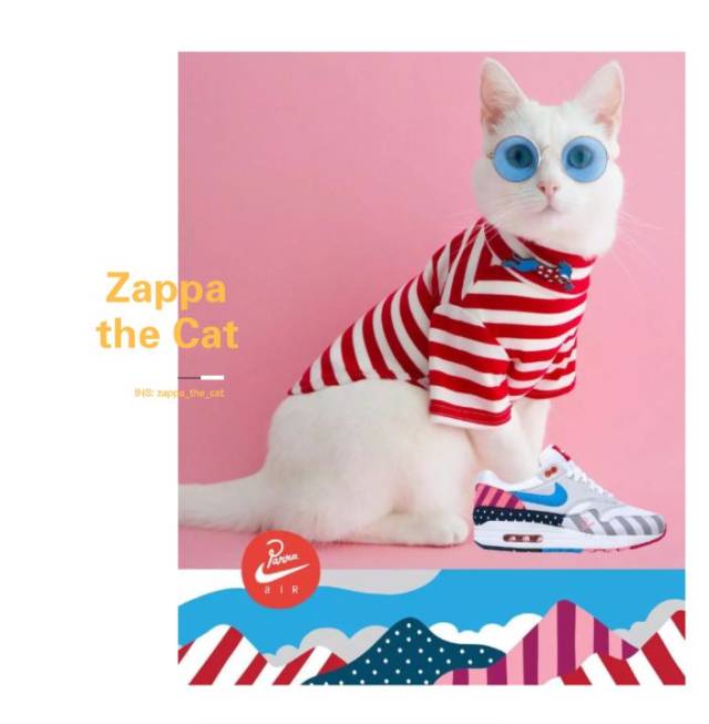 omg现在猫都开始穿supreme了么