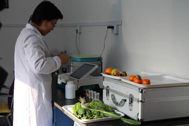 果蔬农残检测