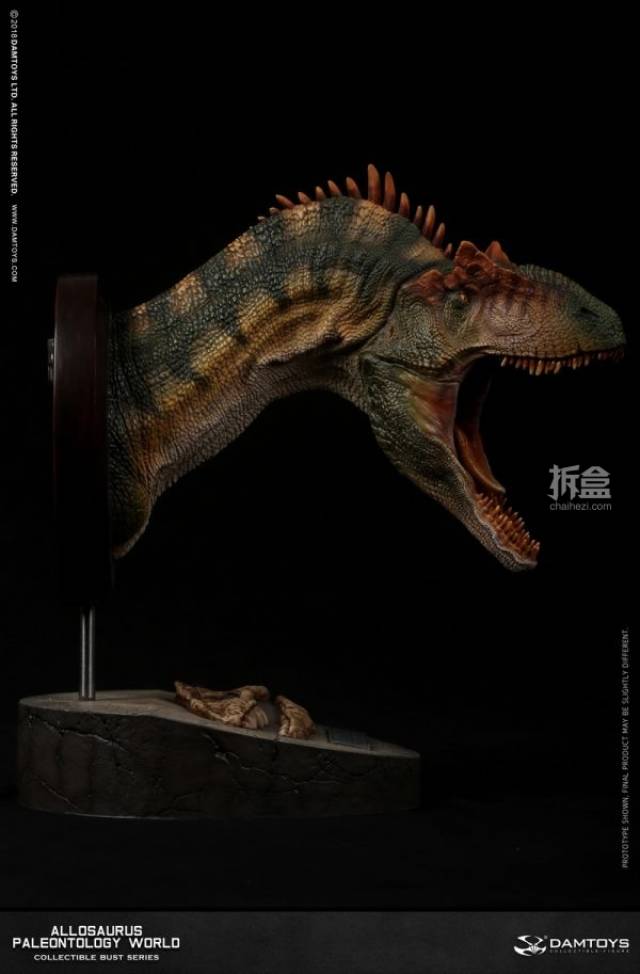 damtoys 博物馆系列-异特龙头部收藏级雕像