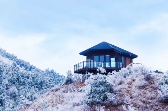 雾凇!朴语山居冬日里最美的花朵