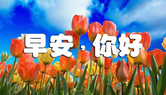 冬天早上好问候语及关心话早晨好的图片