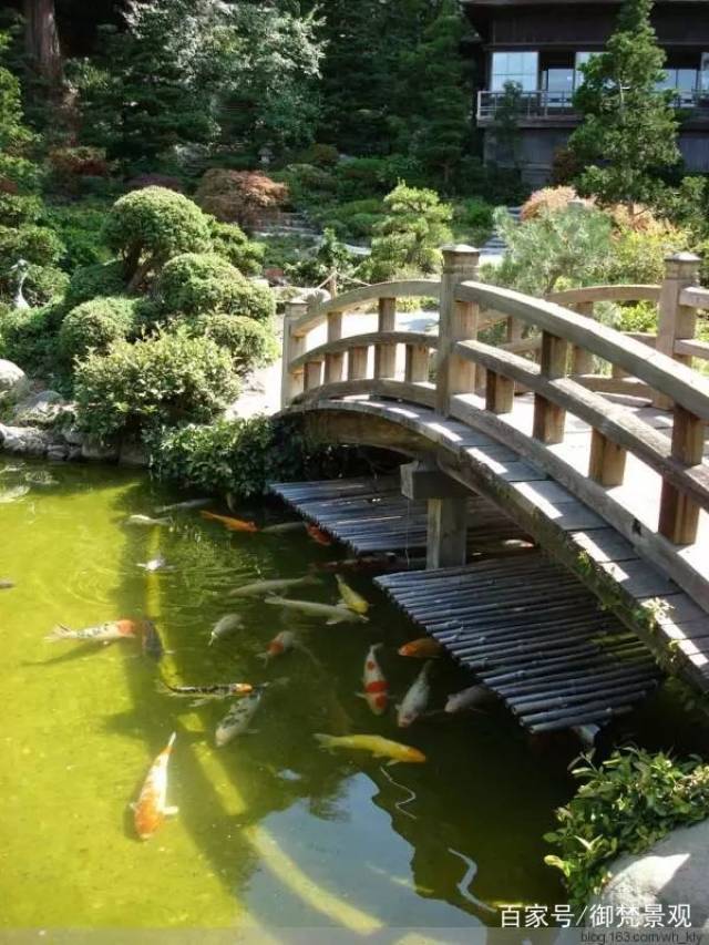 花园设计:有水有鱼,年年有余!精选32个别墅花园养鱼池设计方案