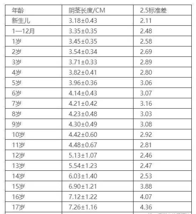 宝宝的鸡太小怎么办图片