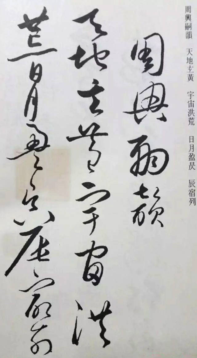 怀素草书《千字文》（净云枝藏），此版本罕见_手机搜狐网