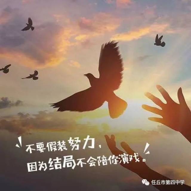 感动|温暖任丘四中的校园故事