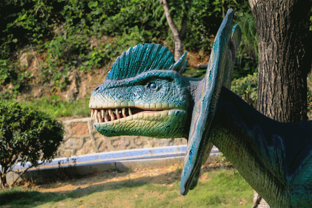 思达·遵义乐园丨寒假去哪玩儿?带娃来思达·