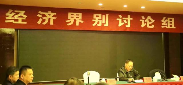 谢考峰参加委员分组讨论