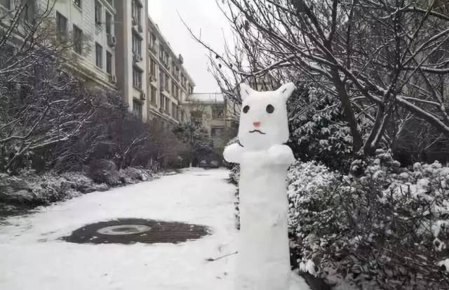 猴子:不知道还能坚持多久