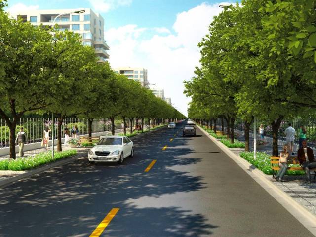 资讯金山新城将新建一条路名字叫