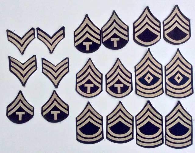 上图就是第9装甲师和第11装甲师的军标,一般军标