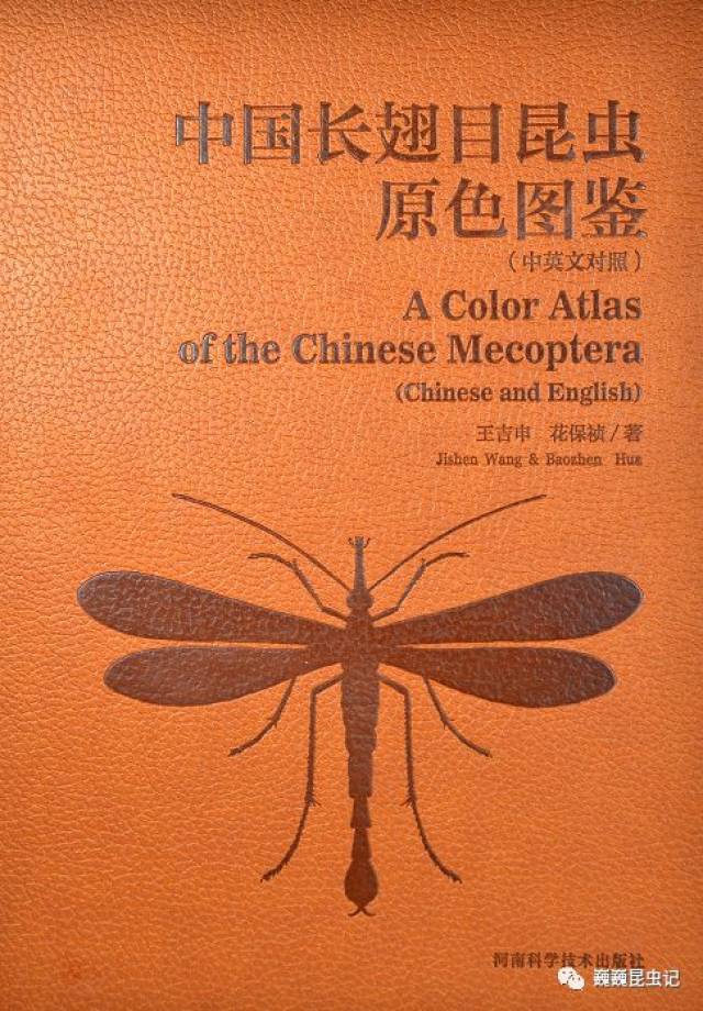 中国長翅目昆虫原色図鑑 Amazon.co.jp: 中国长翅目昆虫原色图鉴 : 本