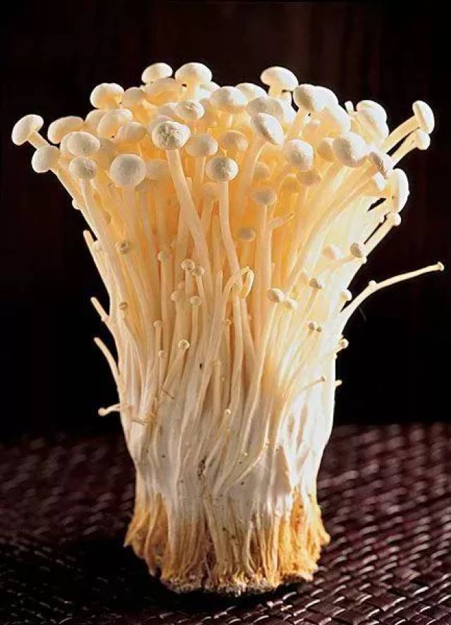 金针菇养生小食谱