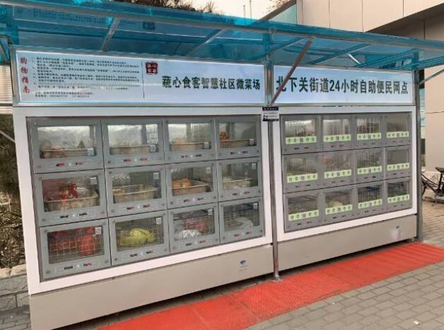 豆角,萝卜等蔬菜 还有柚子,橙子,圣女果 火龙果,哈密瓜等水果 蔬菜柜