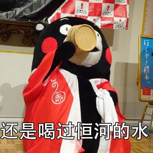 熊本熊表情包:我不管你是谁,把钱还一下