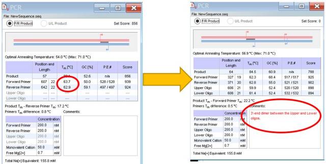 从0开始，准确又快速利用Oligo7设计PCR引物_手机搜狐网