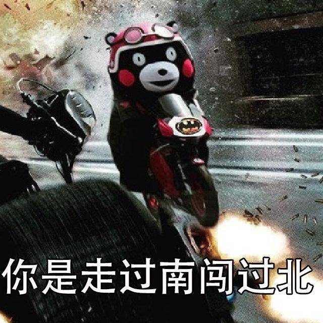 熊本熊表情包:我不管你是谁,把钱还一下