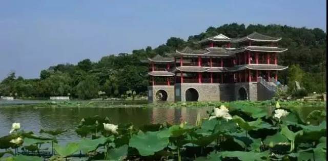 南寧周邊遊 南寧金花茶公園 被這個城市悄悄擁抱的南寧金花茶公園