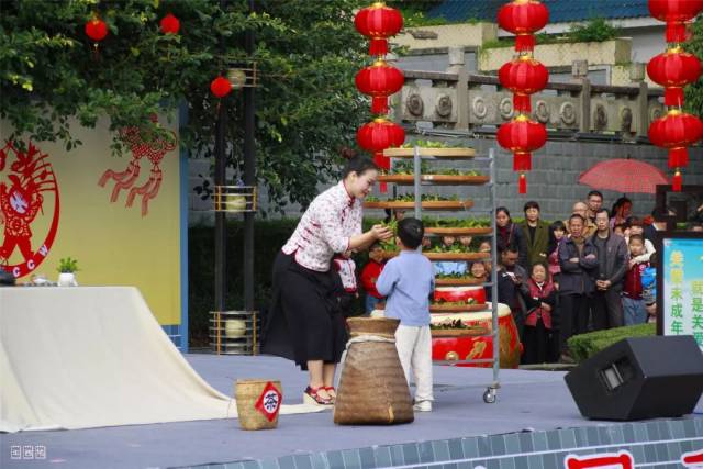 福建大田·2019全国"乡村春晚"现场视频和美图