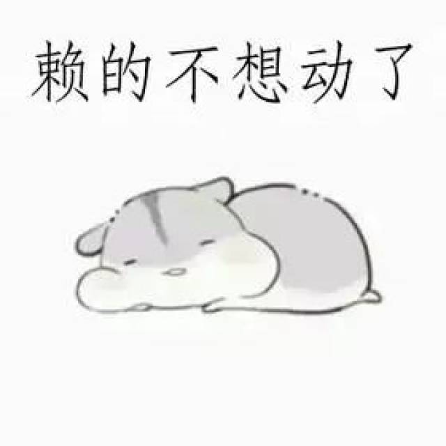 【推荐】懒人的妙招，从此“躺着”生活！_手机搜狐网