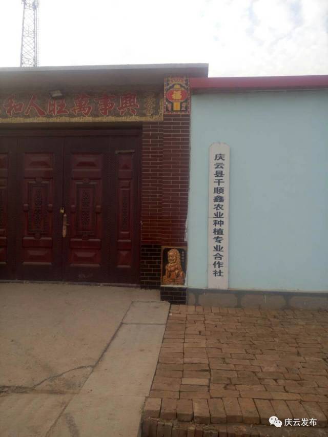 庆云招聘：共筑美好未来