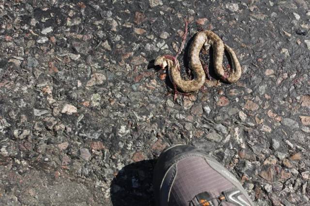 他骑单车穿越欧洲16国归来,却回乡下迷上造房子