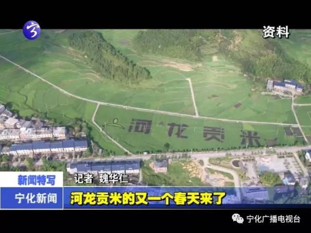 河龙贡米将以高中端品种为基础,依托宁化县政府产业扶贫政策,充分运用