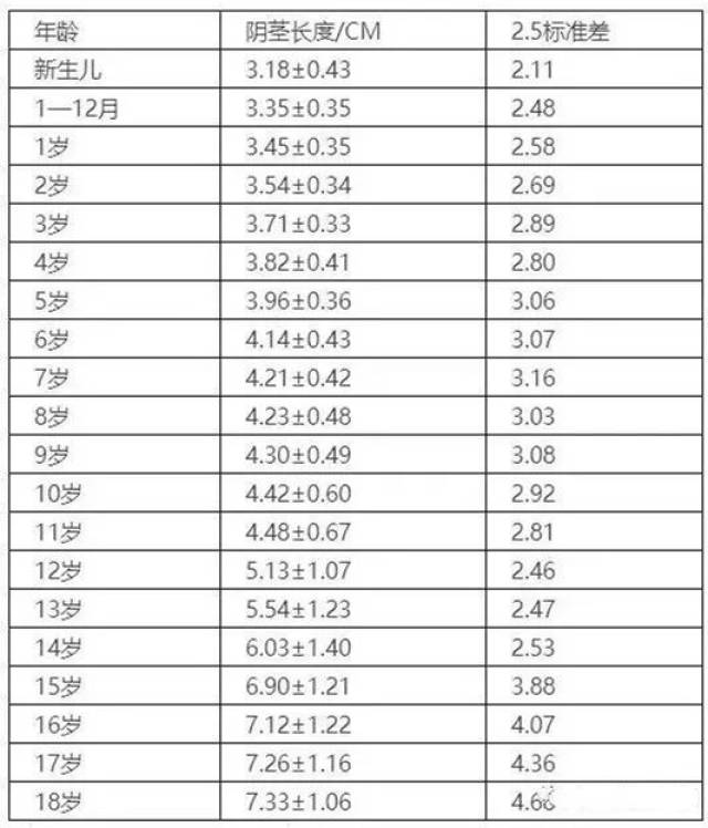 小jj长度有国际标准了!你符合标准吗?