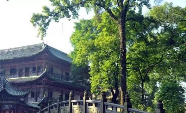 实修丨惟因老和尚:尘尘是宝,法法皆真