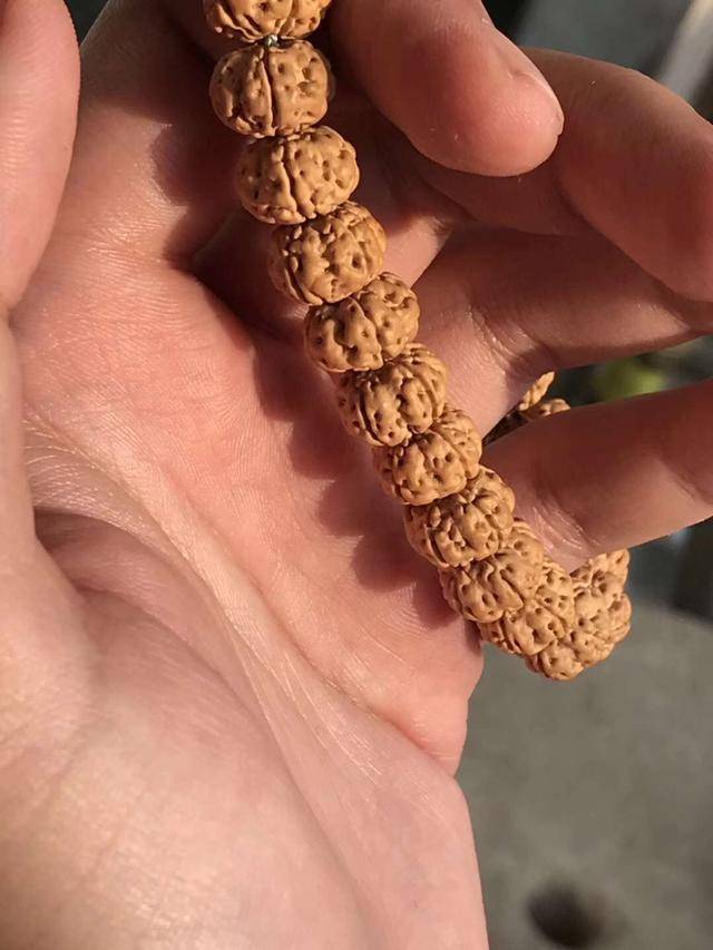 金刚菩提黄尖咋盘也盘不出来了吗