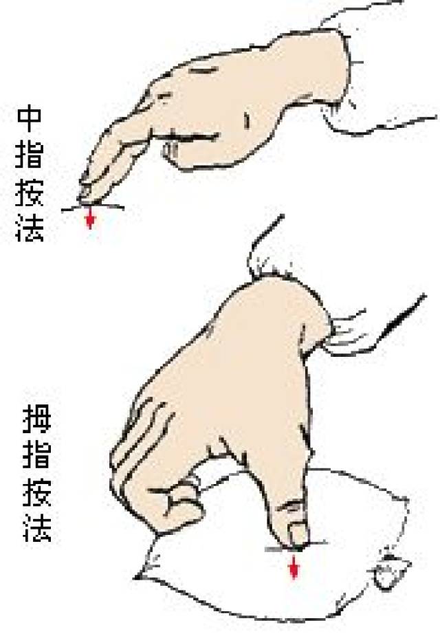(2)掌按法用掌根,鱼际或全掌着力按压体表,单手力量不足时,可用双手掌