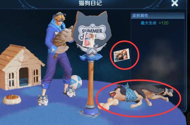 王者荣耀孙策情侣皮肤猫狗日记出场动作太无视大乔的照片了