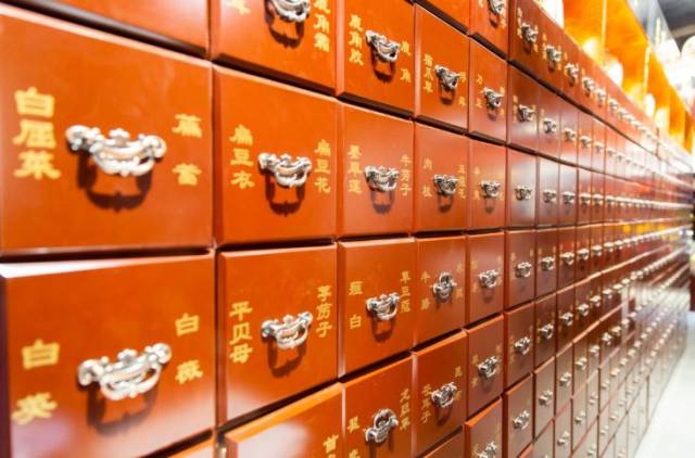 [颍上纪实] 中医之种,生根发芽 | 颍上县首届中医药文化节暨大德中医