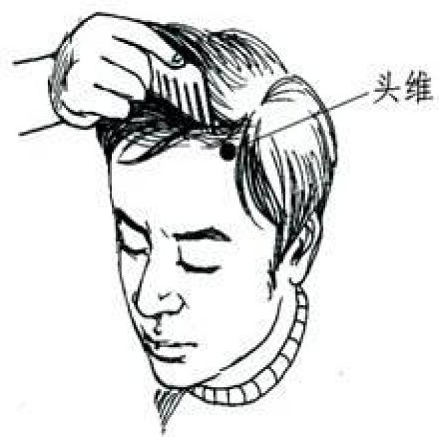 额角位置,拼音,位置图_大山谷图库