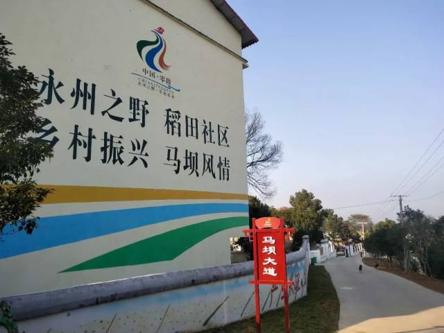 的马坝村还有点野蛮生长并来到了零陵区接履桥镇的马坝村去年春天我