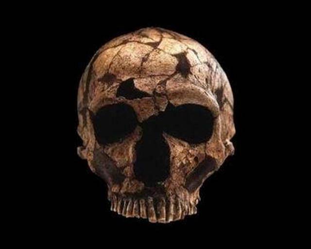 中国一代高僧头骨流落日本,现估价上亿,日本却耍无赖坚决不还