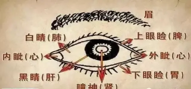 手诊、面诊、眼诊、嘴诊和背诊等看病全看这里!神准啊!_搜狐网
